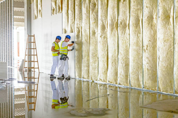 Best Insulation Contractor Near Me  in Helena Flats, MT